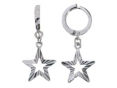 Серьги, серебро 925 008 01 22-00906 2010 г инфо 10958w.