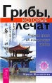 Грибы, которые лечат Первая книга об очищающих грибах Издательство: ИГ "Весь", 2004 г Мягкая обложка, 224 стр ISBN 5-9573-0326-7 Тираж: 5000 экз Формат: 84x108/32 (~130х205 мм) инфо 11914x.